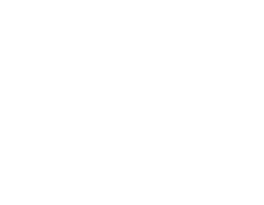 Stylish meal